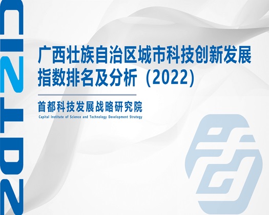 妞操逼网【成果发布】广西壮族自治区城市科技创新发展指数排名及分析（2022）